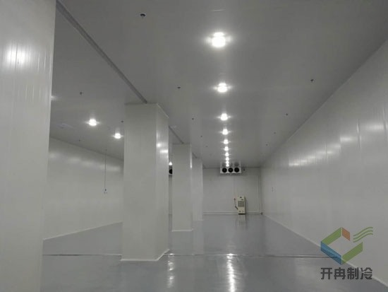 藥品冷凍庫建造安裝設計的特點及優(yōu)勢是哪些?