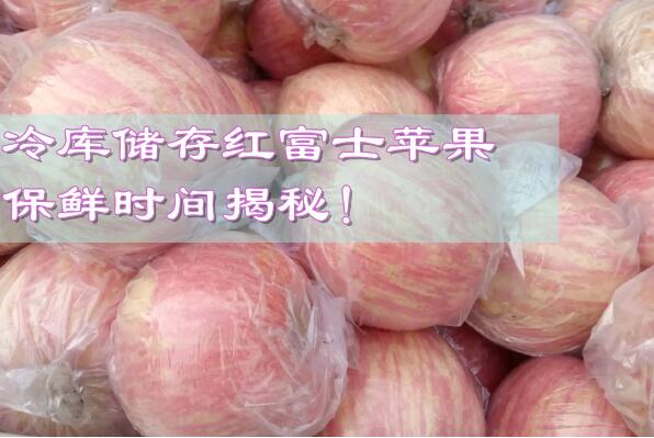 冷庫儲存紅富士蘋果，保鮮時間揭秘!
