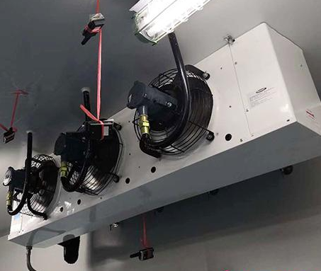 食品冷凍庫_預(yù)制菜冷庫是什么?_開冉制冷