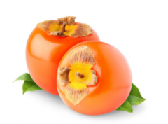 建一個(gè)500平方柿子冷庫(kù)大概需要多少錢