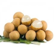 安裝一個(gè)桂圓（龍眼）保鮮冷庫(kù)，投資成本大概多少