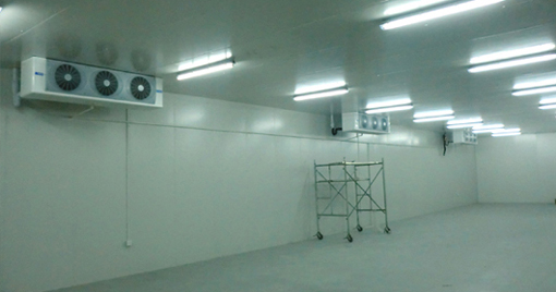 5000噸大蒜需建多大冷庫，冷庫造價(jià)多少錢