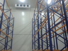 1000噸大姜冷庫安裝費用是多少錢？