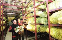 200平米果蔬冷庫，冷庫建造成本多少錢