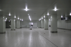 3000平方冷藏冷凍冷庫安裝投資多少錢？