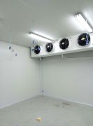 500平米海鮮冷庫建造，-25℃冷凍庫造價多少錢