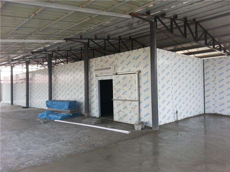 浙江建-60℃金槍魚(yú)超低溫冷庫(kù)，冷庫(kù)總價(jià)預(yù)算多少
