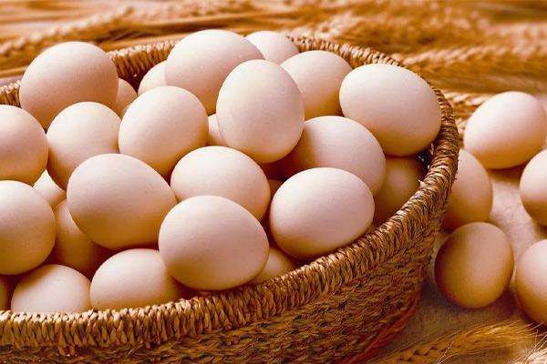 江蘇1000㎡禽蛋類冷庫(低溫冷藏庫)建造安裝成本多少 江蘇1000㎡禽蛋類冷庫(低溫冷藏庫)建造安裝成本多少