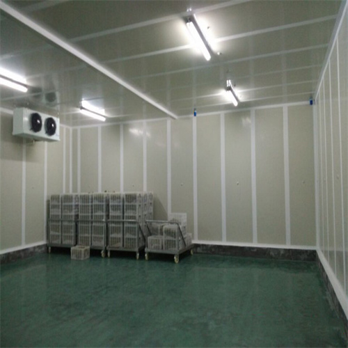 1620985183632380.jpg 1620985183632380.jpg