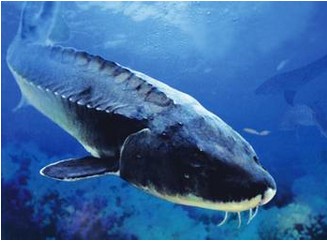 水產品保鮮冷庫，海鮮冷凍庫