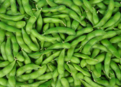 小型蔬菜冷庫(kù)