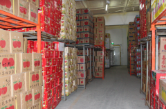 建造一個獼猴桃冷庫需要投資多少錢？