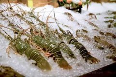 海鮮保存溫度？海鮮冷凍庫價格多少錢