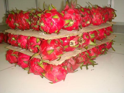 水果店水果冷藏庫安裝建設(shè)