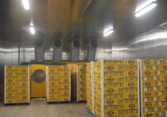 300噸葡萄保鮮庫造價，葡萄冷庫保鮮期及溫度多少？