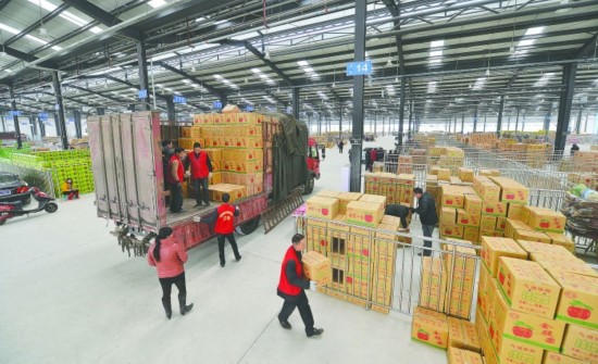 火龍果保鮮庫(kù)造價(jià)，溫度可以存儲(chǔ)多久？