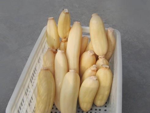 100噸的蓮藕怎么保鮮，蓮藕保鮮庫設計及造價