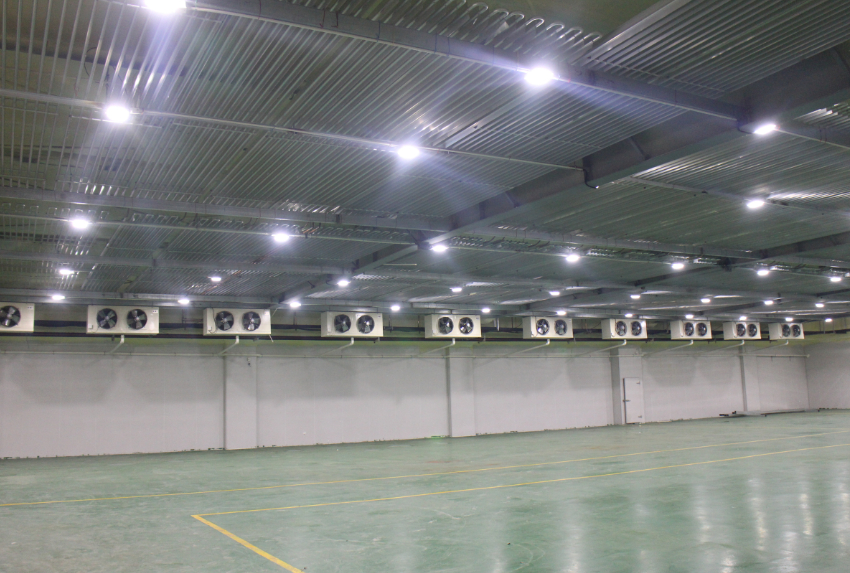 300噸西紅柿保鮮庫造價，西紅柿冷藏庫設計