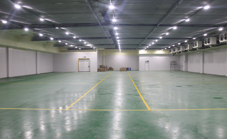 300噸的枇杷冷藏庫建造需要多少錢？枇杷冷庫造價