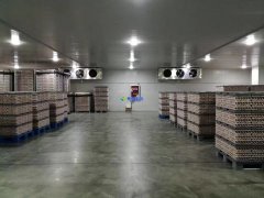 安裝1300噸水果冷藏庫預(yù)算是多少?后期用電能耗大嗎?